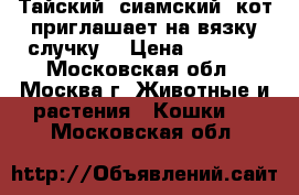 Тайский (сиамский) кот приглашает на вязку/случку  › Цена ­ 3 000 - Московская обл., Москва г. Животные и растения » Кошки   . Московская обл.